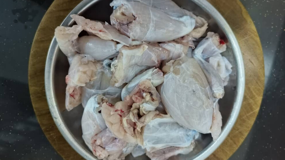 Additional view of Bullfrog